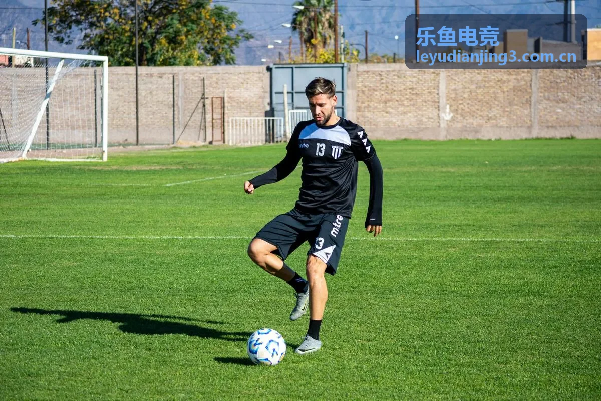 乐鱼电竞技术中台方案